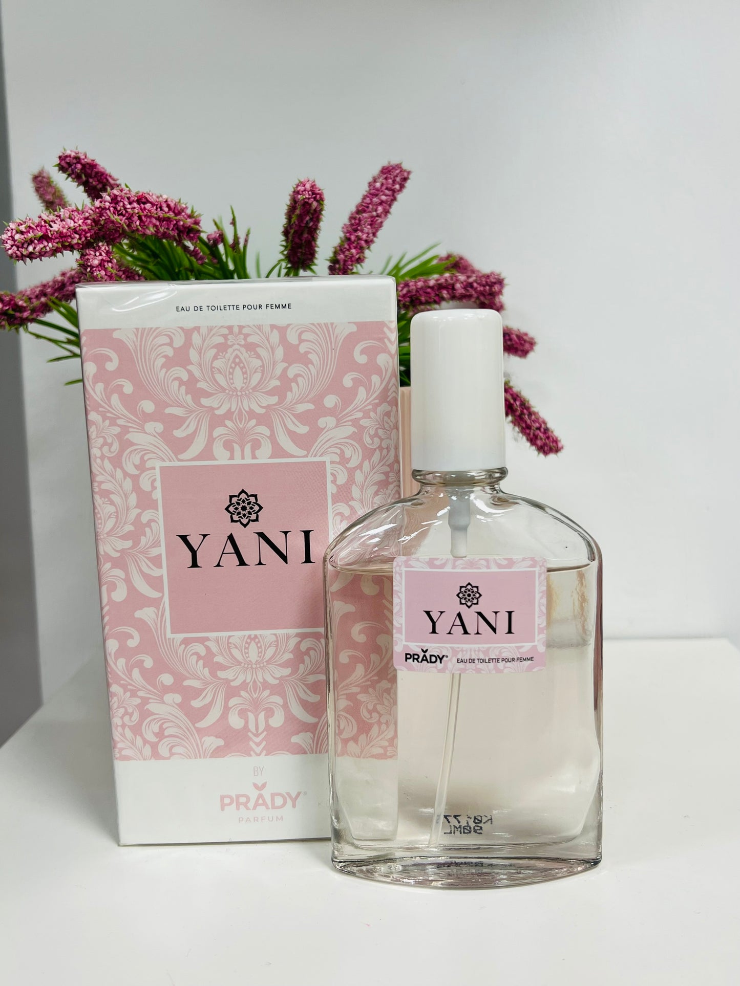 Colonia Yani