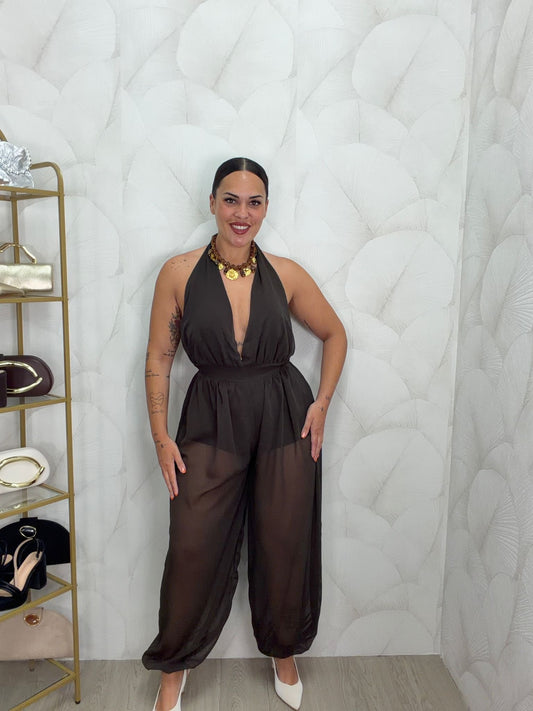 MONO TRANSPARENCIA
