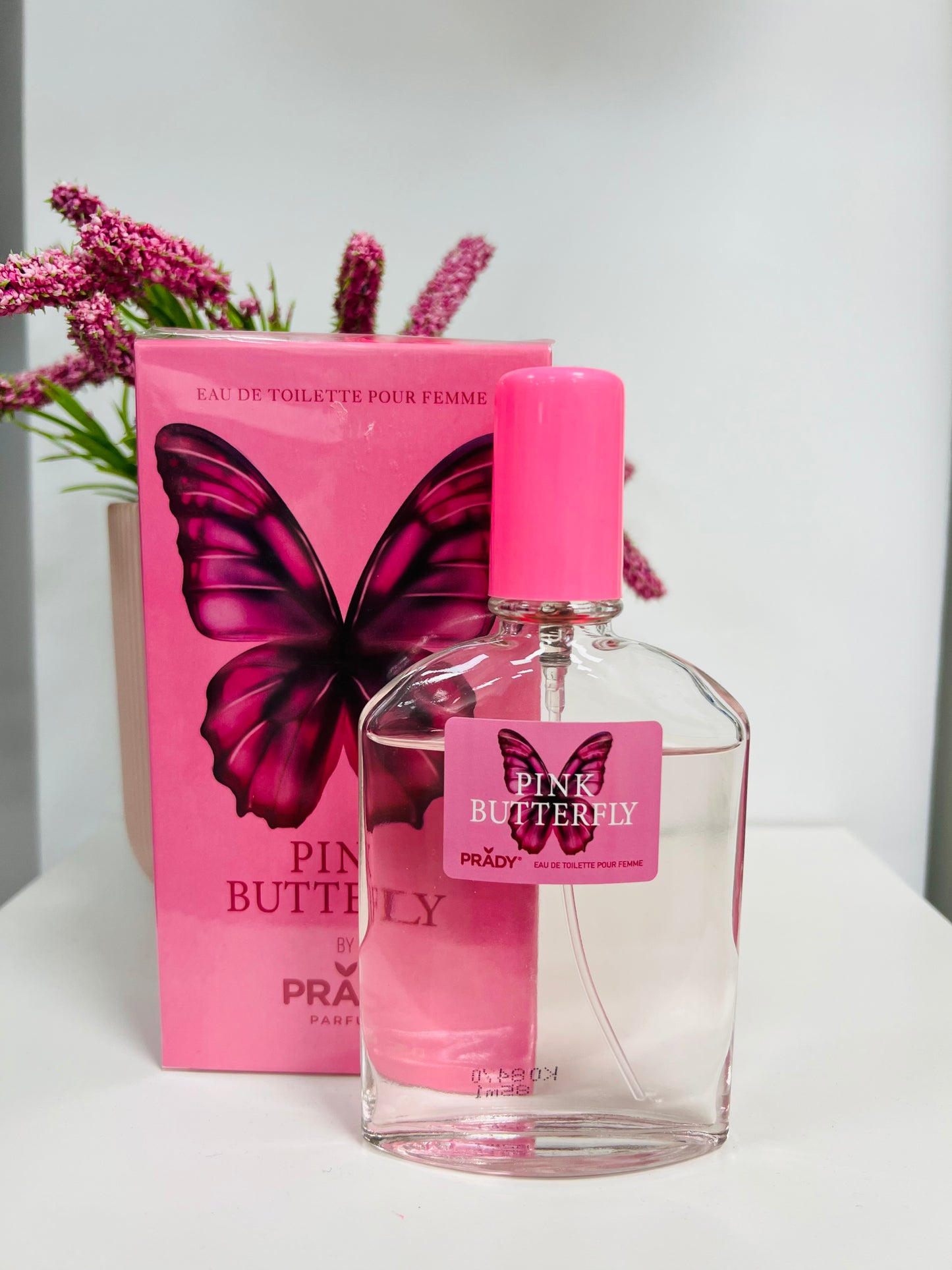 Colonia butterfly