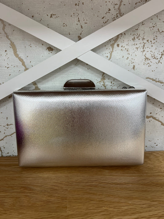 Bolso de Fiesta Plateada